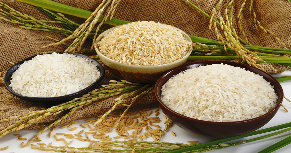 كيف تحضّرين أطباق الرز