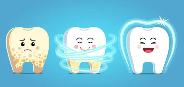 معلومات طبية عن الأسنان