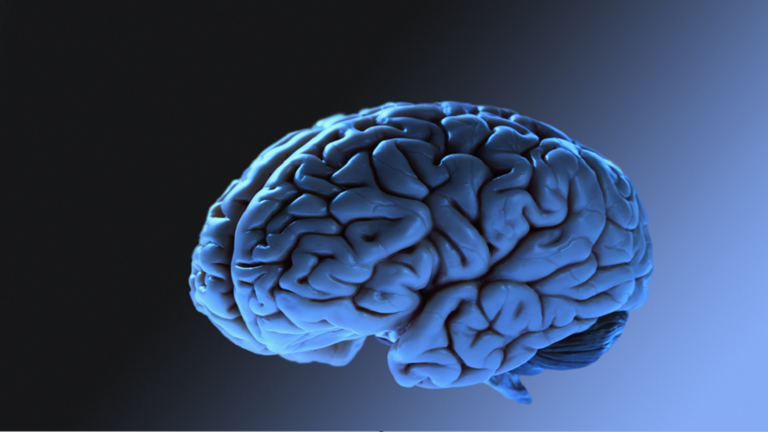 تأثير الزهايمر على خلايا المخ